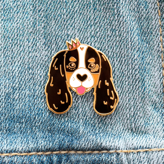 Cavalier king charles spaniel deals accessories